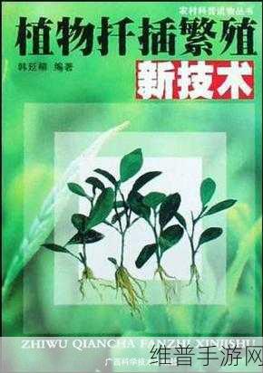 扦插BB技术的最新优势与好处：1. ＂扦插BB技术：提升植物繁殖效率的新选择