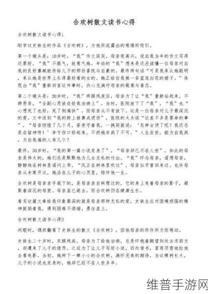 合欢派：1. 合欢派：探索内心与外界的和谐之道