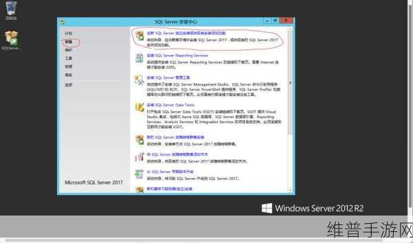国产VPSWINDOWS精品：1. 高性能国产VPS，助力您的Windows应用快速部署