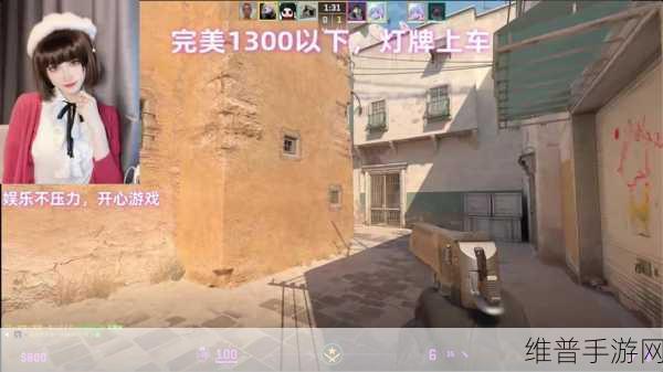 这位暴躁老阿姨CSGO最新版本中到底是何方神圣：暴躁老阿姨的CSGO新篇：从玩家到战神的逆袭之路