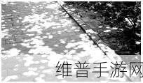 花荫露第十七回原文及翻译：根据《花荫露》第十七回的内容，以下是一些新的标题建议：