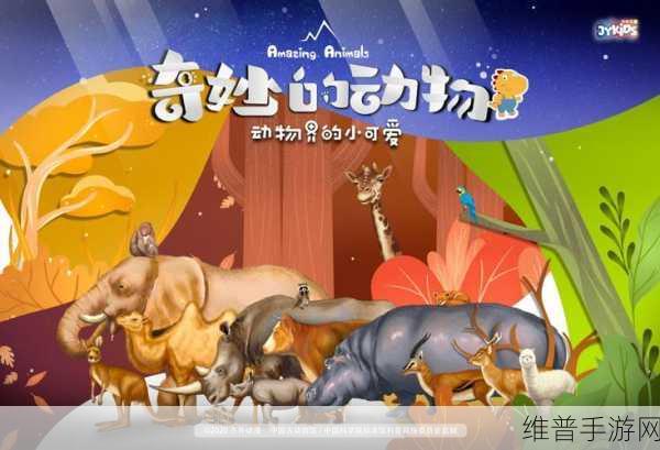 美国ZOOM动物：1. ＂探索ZOOM动物的奇妙世界：与自然亲密接触
