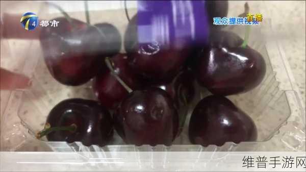 蜜汁樱桃林妙妙最后和谁在一起了迎来美女新人:1. "蜜汁樱桃林:妙妙与新恋情的甜蜜展开