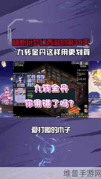 梦幻西游手游，九转金丹使用的最佳策略