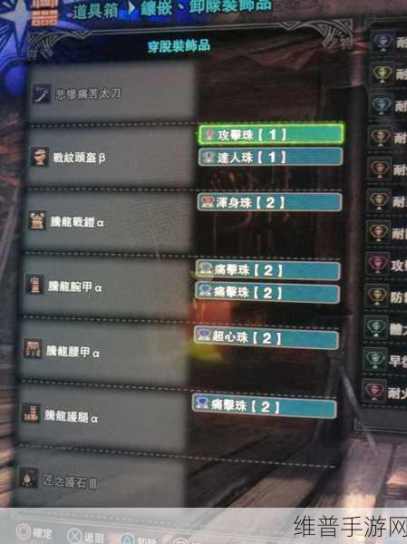 怪物猎人P3,太刀与双刀深度对比,哪个更适合你?