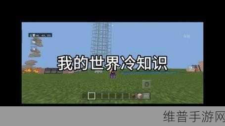 我的世界最新版隐藏冷知识大揭秘