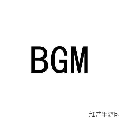 bgmbgmbgm成熟交提供了更多的交流和合作机会:1. 深化合作关系,共创美好未来