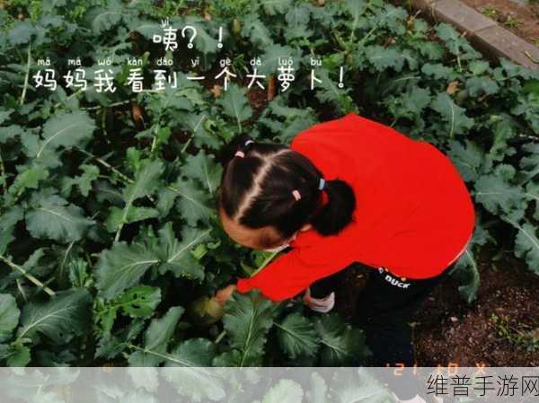 挤牛奶拔萝卜怎么拔：1. 用心挤牛奶，巧妙拔萝卜的秘诀