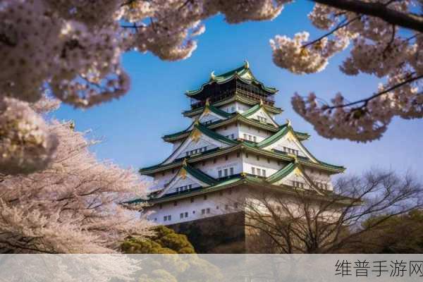 24小时日本高清在线观看：1. 在24小时日本的镜头下：探索日本文化与风情