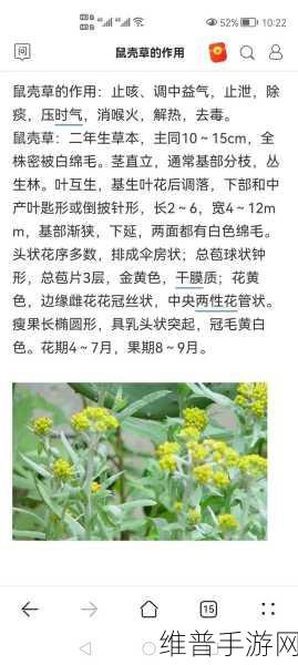麻豆精产一二三产区：1. ＂探索麻豆精的三大产区，揭示独特风味