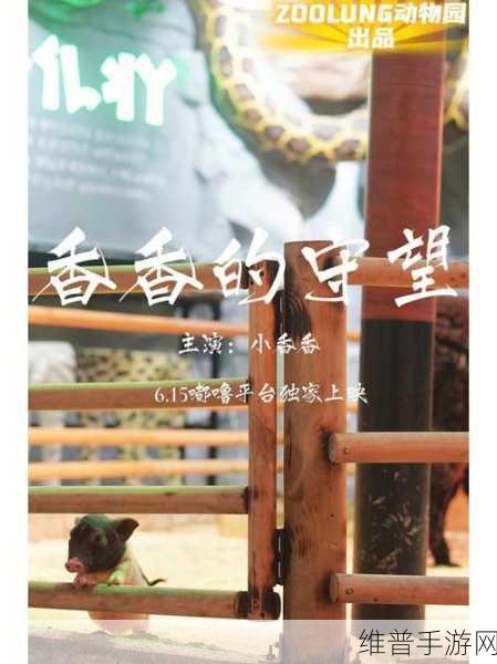 一嘟噜一嘟噜：1. 一嘟噜一嘟噜：探索奇妙的声音世界
