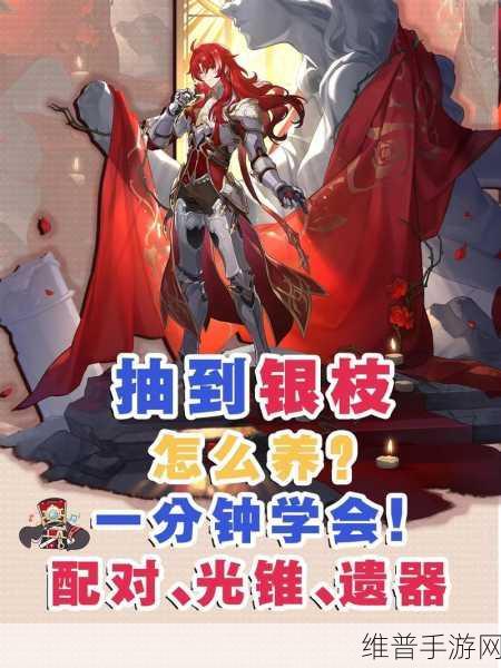 崩坏，星穹铁道银枝适合遗器搭配方案深度解析