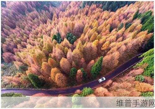 大地资源免费视频观看：1. 大地资源探索：开启自然之美的新视野