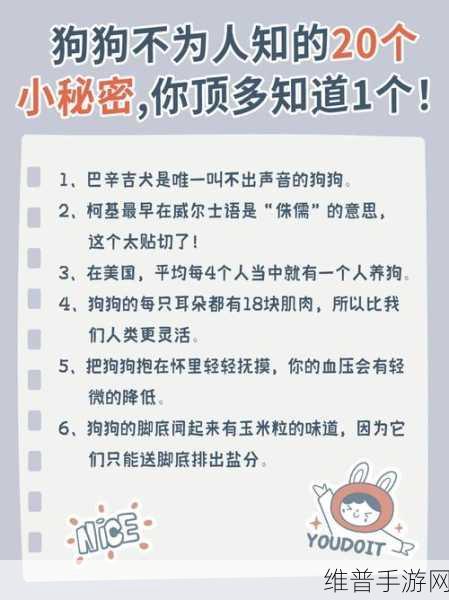 17c呱呱爆料在线观看：1. 17c呱呱爆料：揭示不为人知的秘密真相