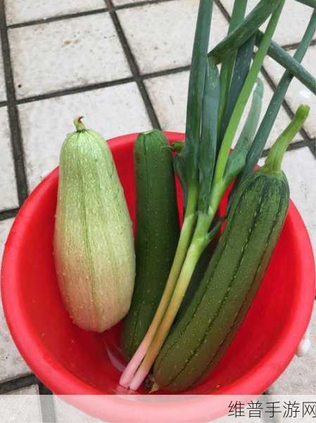 秋葵丝瓜茄子草莓榴莲樱桃：1. 秋葵与丝瓜的美味搭配探秘