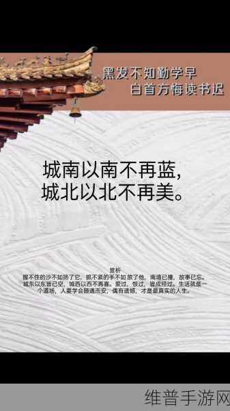 她开始慢迎迎合古文：1. 从古至今，慢迎合的智慧与启示