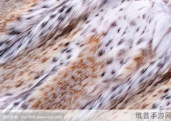 AAAA级毛皮最火的一句可以看的羞涩视频：当然可以！以下是根据AAAA级毛皮视频灵感拓展出的新