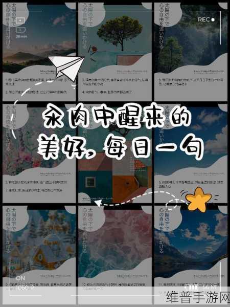每天在汆肉中醒来：1. 每天在汆肉中醒来，品味生活的滋味