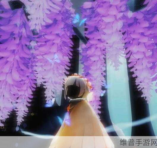 光遇紫色光芒探寻之旅，具体位置与详尽攻略
