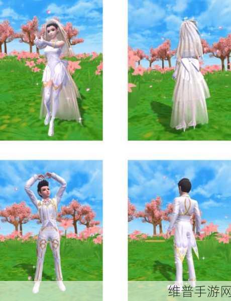 创造与魔法，探索白色小花与华丽服饰的秘密