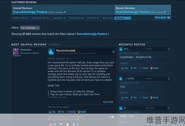 Steam手游产品激活转圈问题全解析,手游公司攻略指南