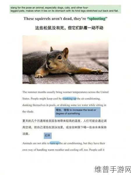 持续一周的sp惩罚期的内容要求：1. ＂深入解析SP惩罚期对市场的影响与应对策略