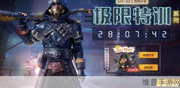 和平精英，深入解析喷涂的多样用途