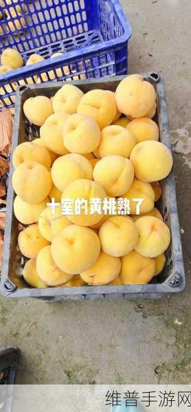 9612黄桃网站手机据说可以让你告别烦恼表示：1. 9612黄桃网站手机，轻松解决你的烦恼问题