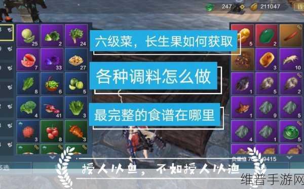 妄想山海6级食谱配方大全，解锁美食与战力的双重盛宴