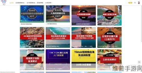 成版人短视频app:1. 深夜放松:成版人短视频的精彩瞬间
