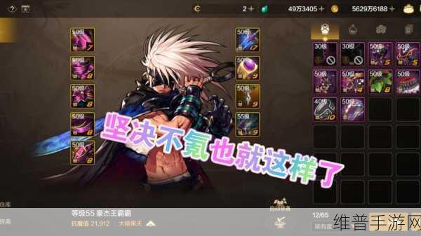 DNF手游攻略，揭秘召唤勇者套中的和谐精灵套归属期