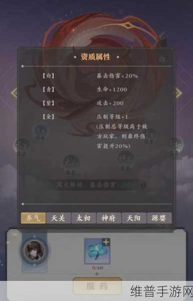 元尊手游角色升星必备材料清单全解析