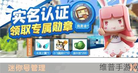 迷你世界双人畅玩秘籍，详细联机攻略大公开