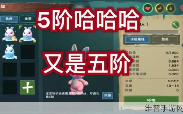 创造与魔法疯疯兔融合全攻略，解锁你的战斗伙伴