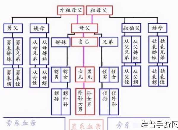 姑父大力支持-送上：1. 姑父全力支持，家庭团结再创新篇