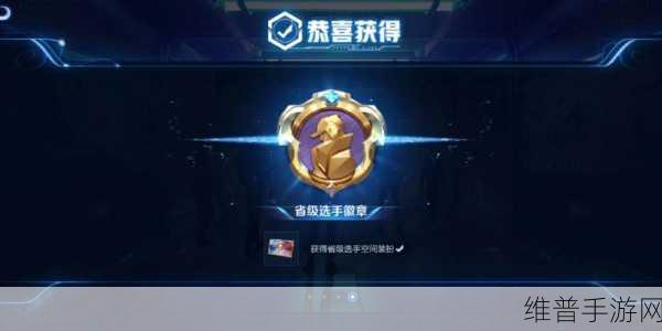 王者荣耀选手卡，永久身份标识与电竞荣耀的象征
