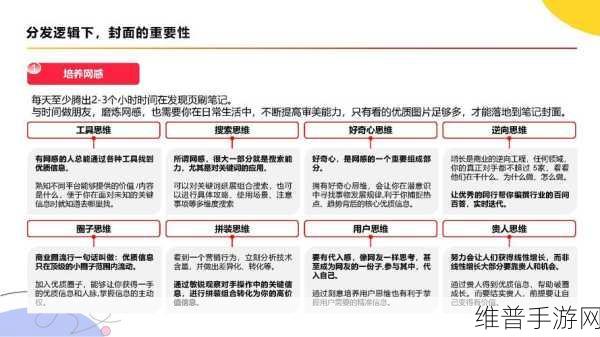 小红书专业号开通全攻略，手游公司视角下的步骤详解