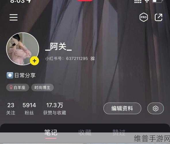 小红书专业号开通全攻略,手游公司视角下的步骤详解
