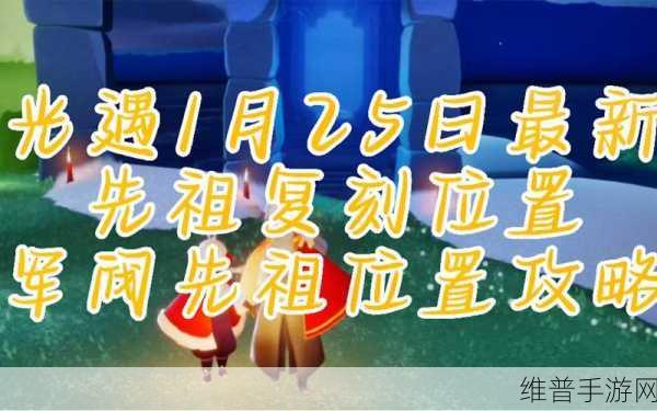 光遇雨林首个先祖消失之谜与树洞通关秘籍