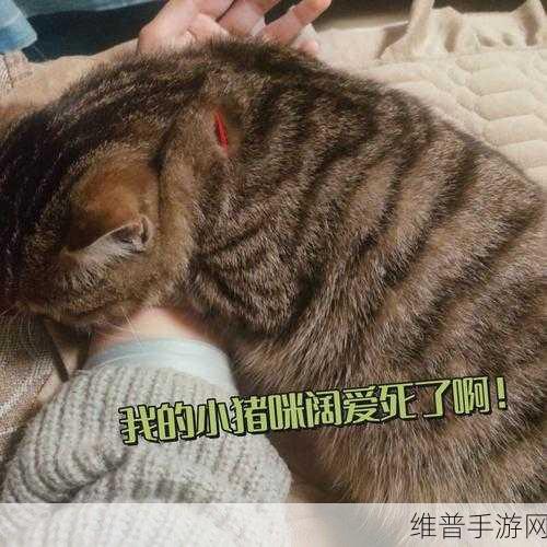 摸摸你的头：1. 摸摸你的头：探索内心深处的秘密