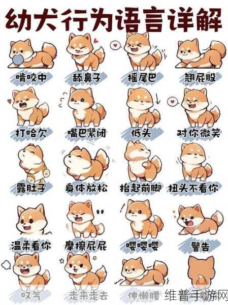 摸摸你的头:1. 摸摸你的头:探索内心深处的秘密