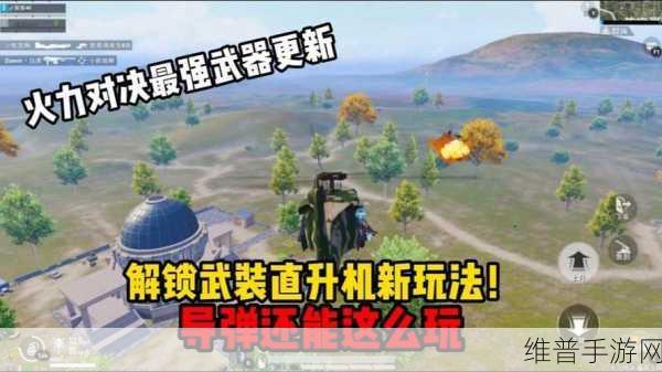 和平精英,探寻最强火力武器之谜