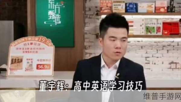 炖肉计-是今海棠软件被开放：炖肉计：探索海棠软件的无限可能性与实用技巧