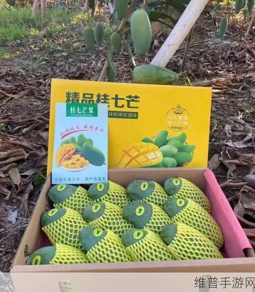 日产精品一线二线三线芒果：1. 一线二线三线芒果，口感层次丰富的水果之旅