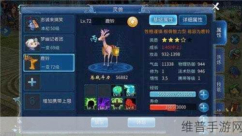 倩女幽魂手游灵兽攻略，揭秘小狐的物攻与法攻特性
