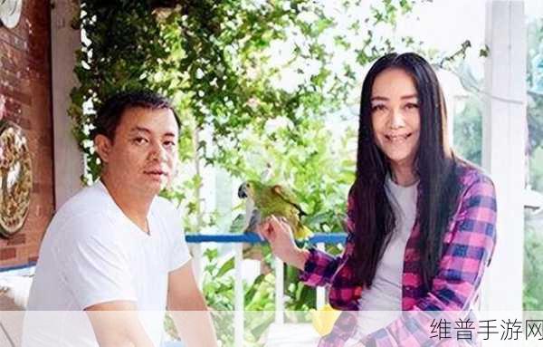 二婚后前夫又回来了1v2意思：1. 二婚后前夫重现，情感纠葛再度上演