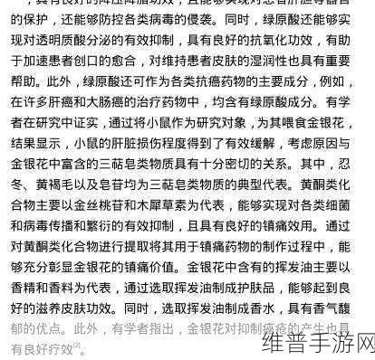 《菊内留香》金银花：1. 《菊内留香：金银花的芬芳秘密