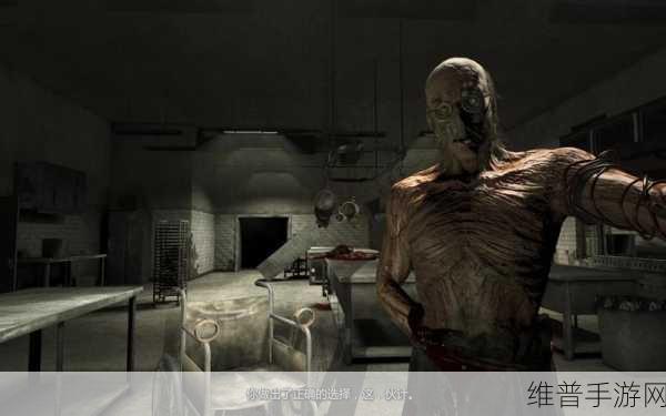 逃生Outlast全成就指南：深入恐怖世界：Outlast全成就解锁与逃生技巧指南