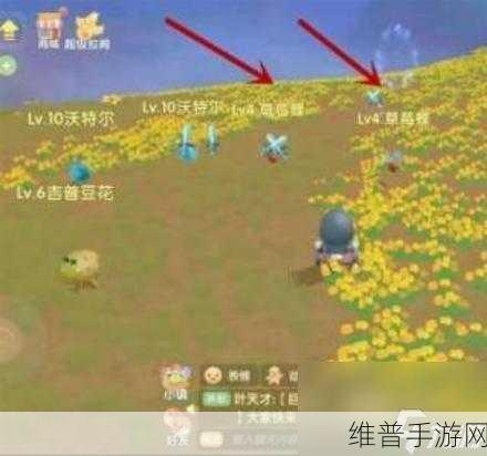 摩尔庄园勇士战斗任务全攻略，成为顶尖勇士的必经之路