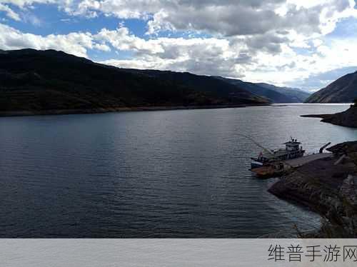 药效1v2hpo江漾治疗解析：药效分析与江漾疗法的创新应用探讨